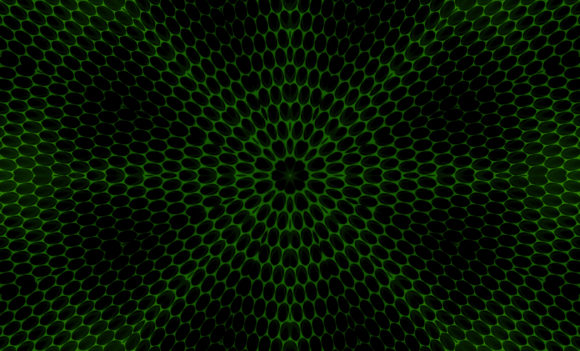 Download Abstract Modern Texture Backgrounds - Texture background Collection